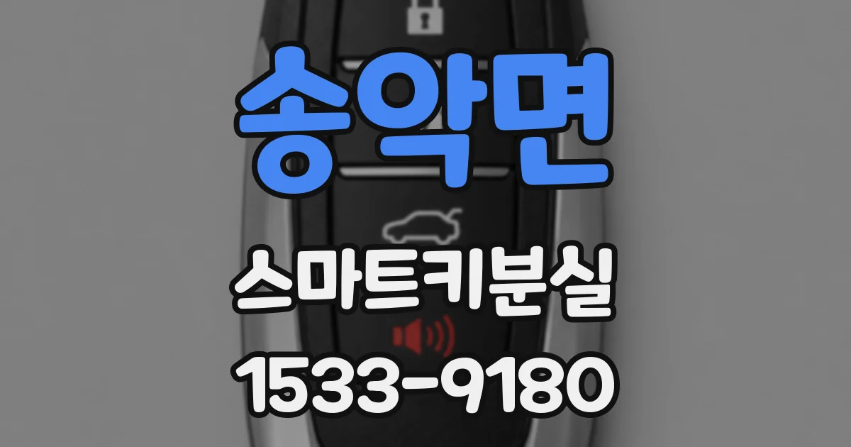 송악면 스마트키분실