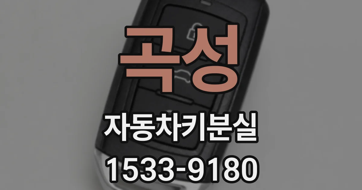 곡성 자동차키분실