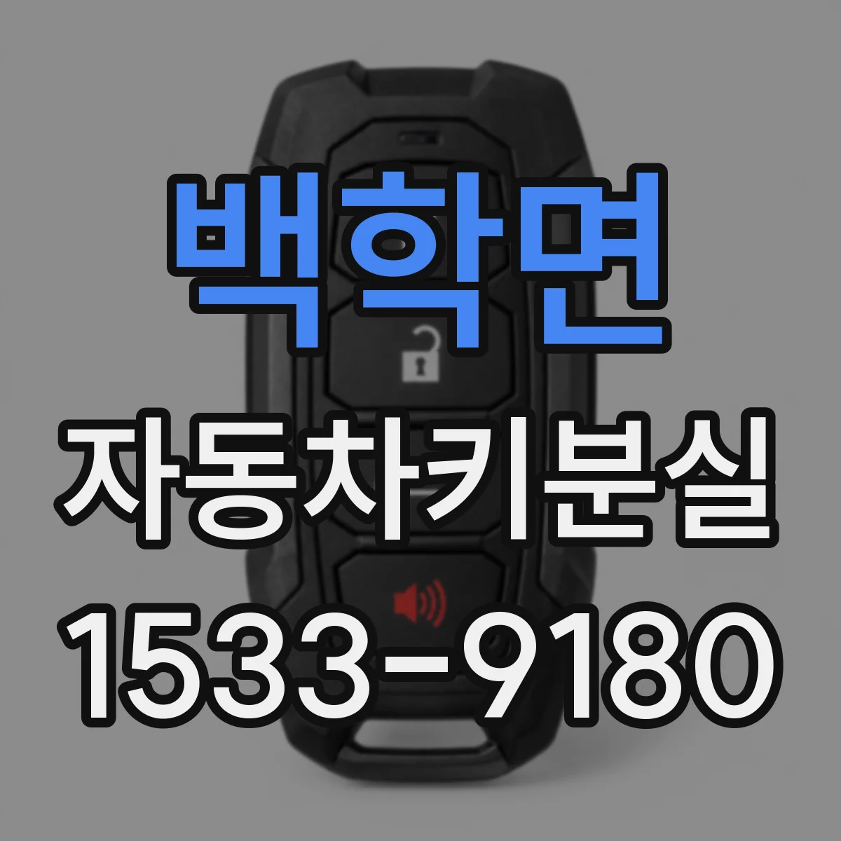 백학면 자동차키분실