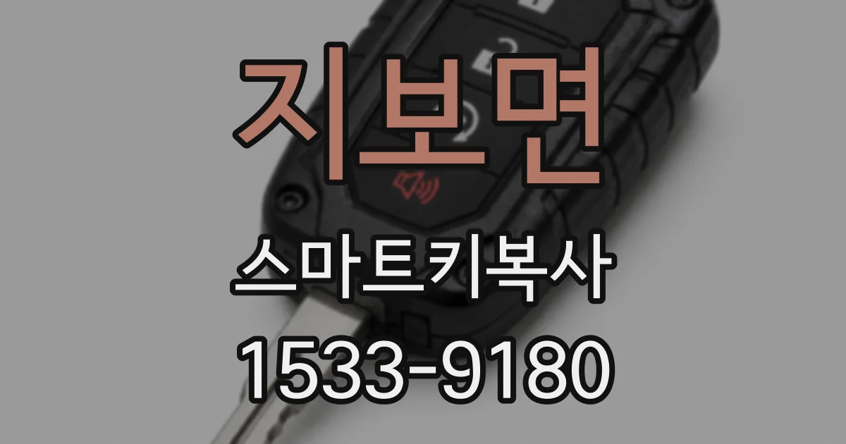 지보면 스마트키복사
