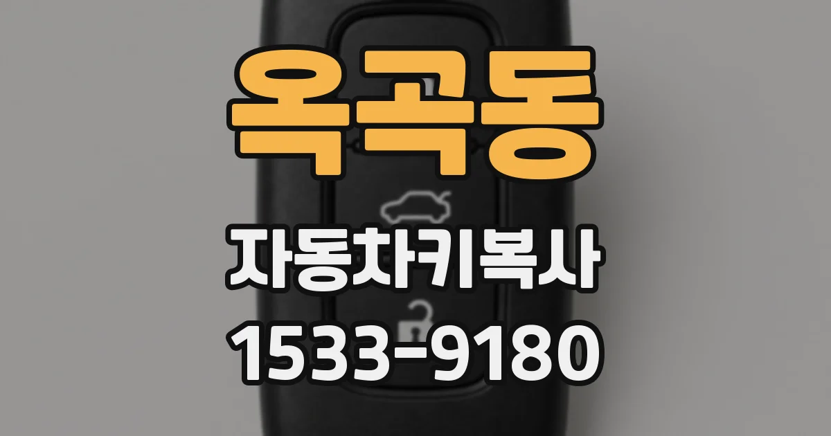 옥곡동 자동차키복사