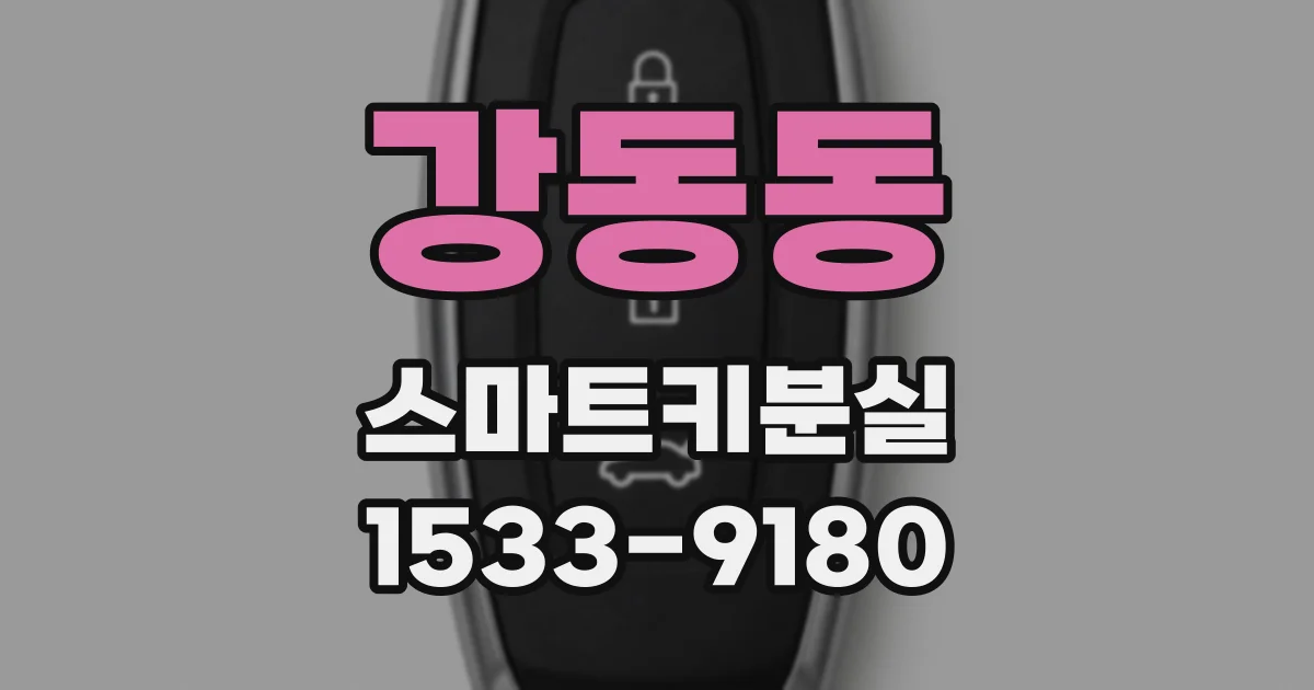 강동동 스마트키분실