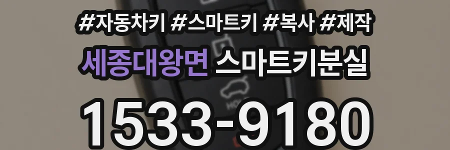 세종대왕면 스마트키분실