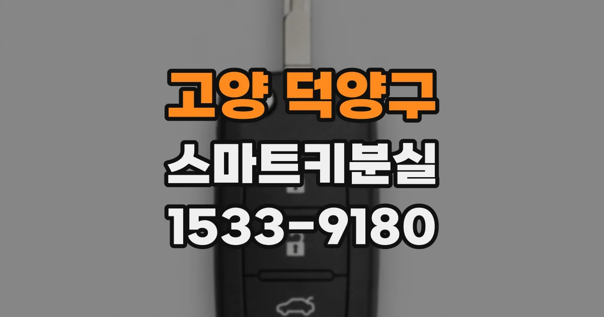 고양 덕양구 스마트키분실