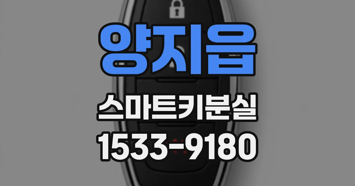 양지읍 스마트키분실