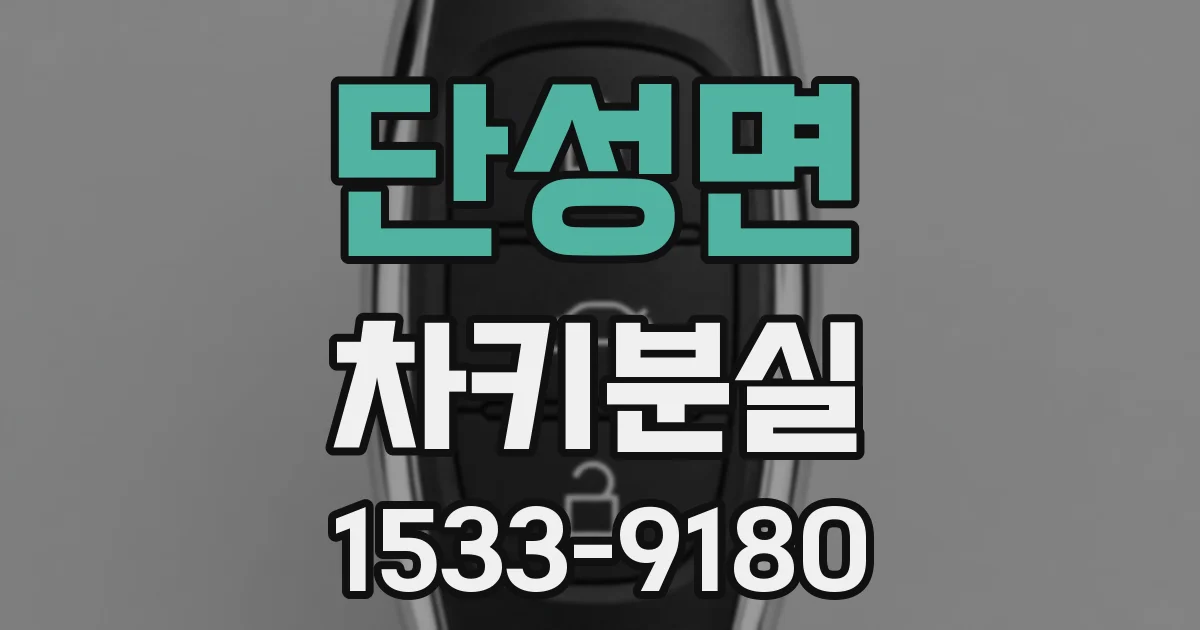 단성면 차키분실