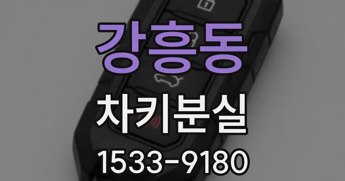 강흥동 차키분실