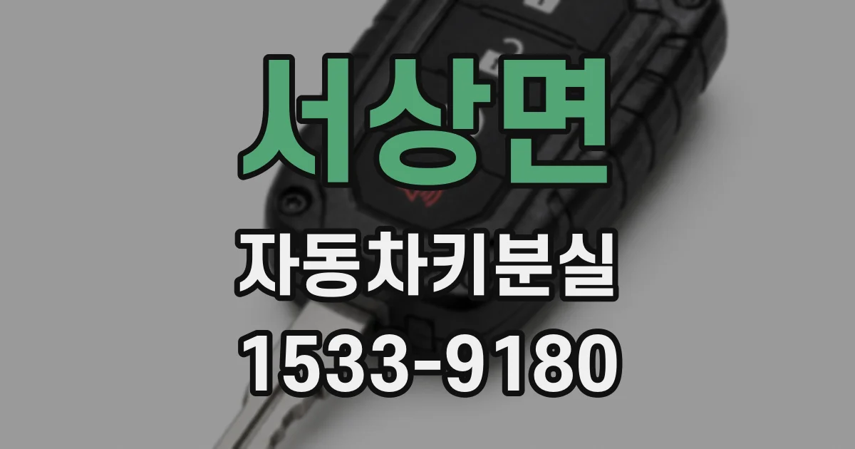 서상면 자동차키분실