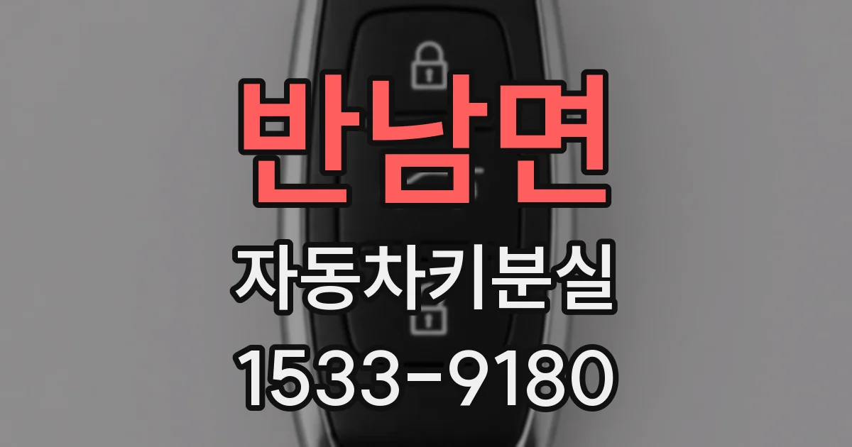 반남면 자동차키분실