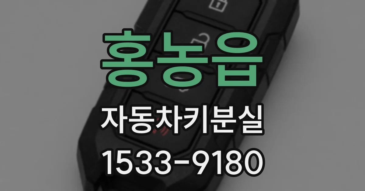 홍농읍 자동차키분실