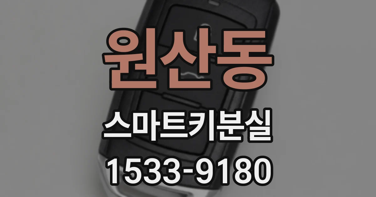 원산동 스마트키분실