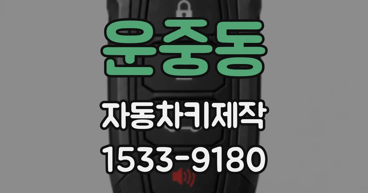 운중동 자동차키제작