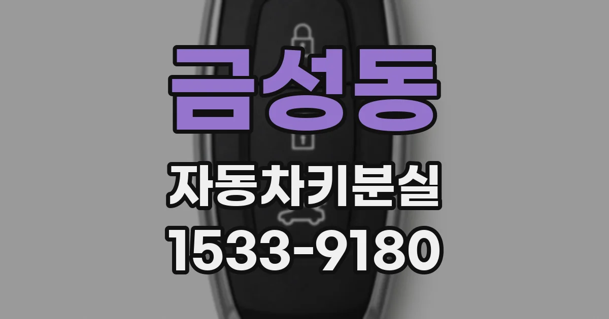 금성동 자동차키분실