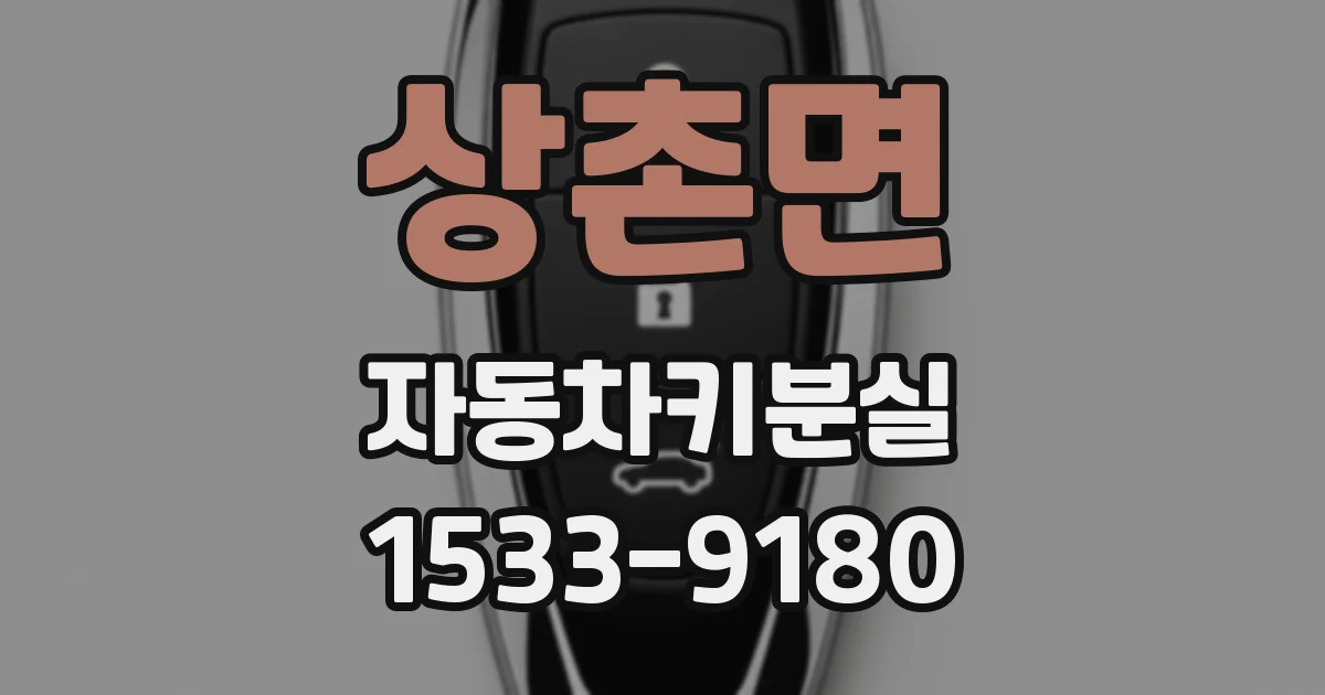 상촌면 자동차키분실