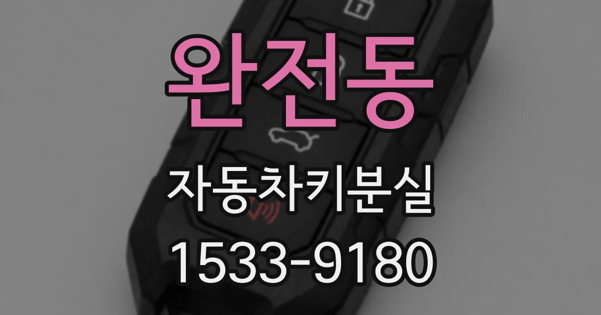 완전동 자동차키분실