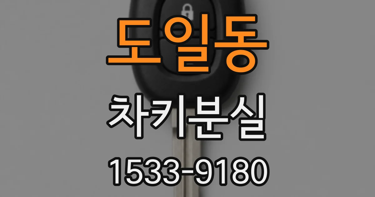 도일동 차키분실