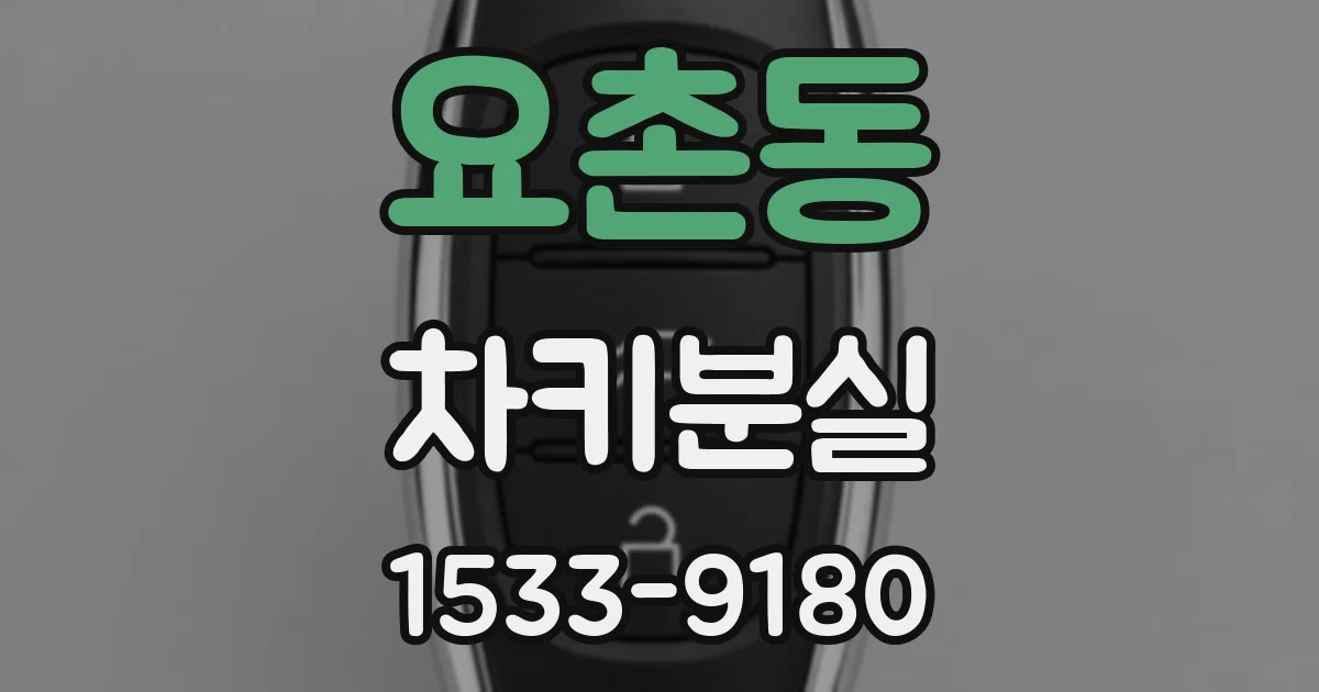 요촌동 차키분실