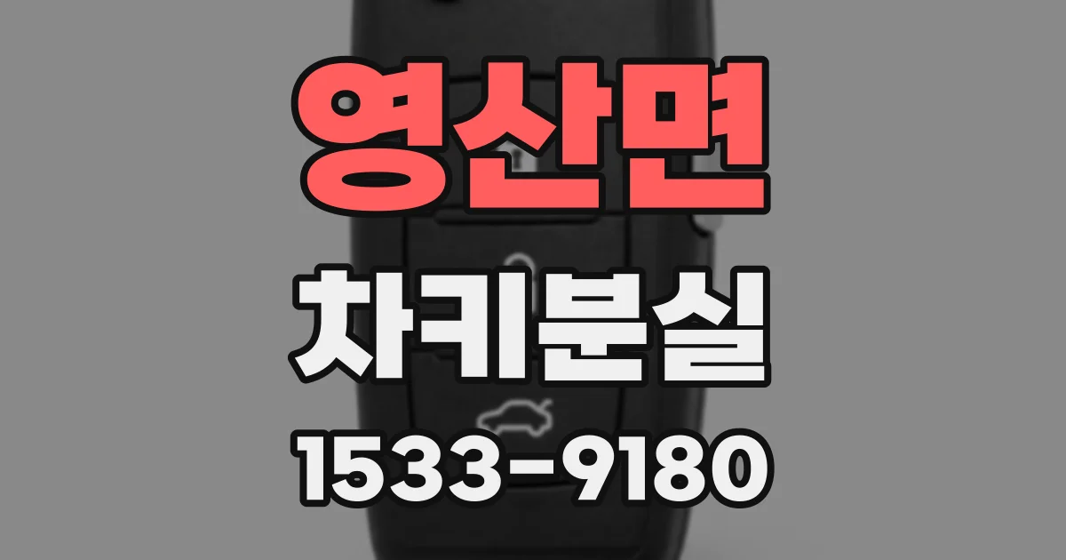 영산면 차키분실
