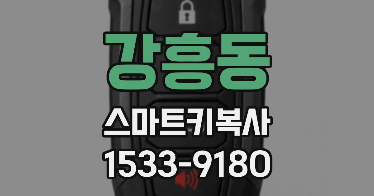 강흥동 스마트키복사