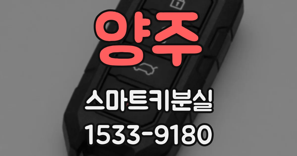 양주 스마트키분실