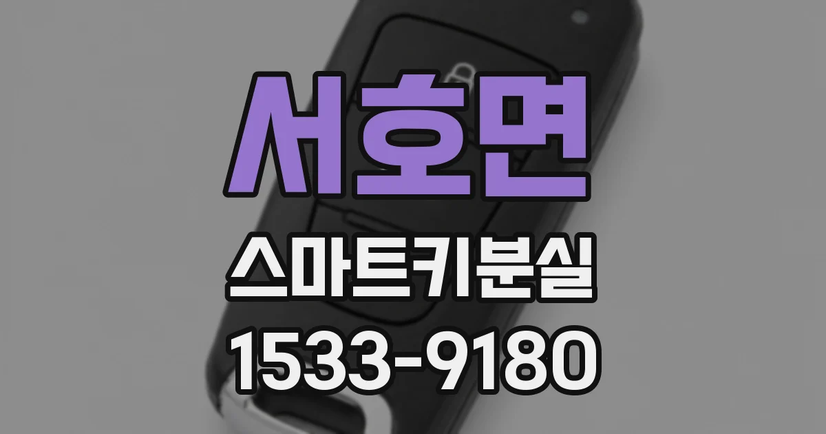 서호면 스마트키분실
