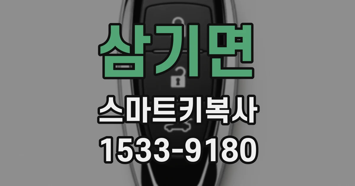 삼기면 스마트키복사