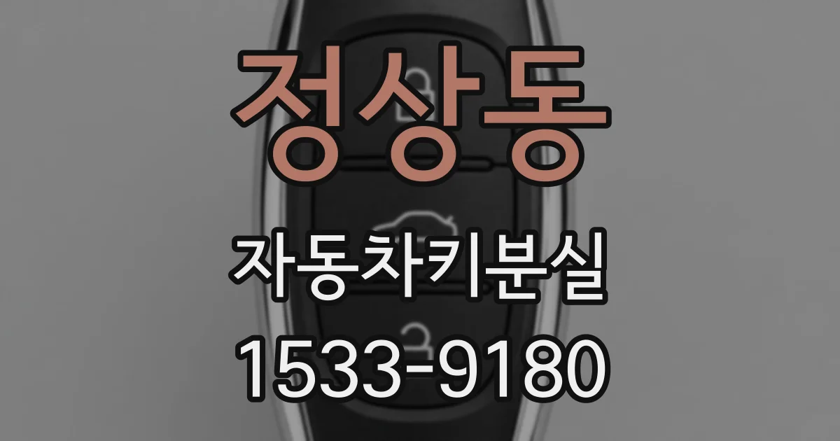 정상동 자동차키분실