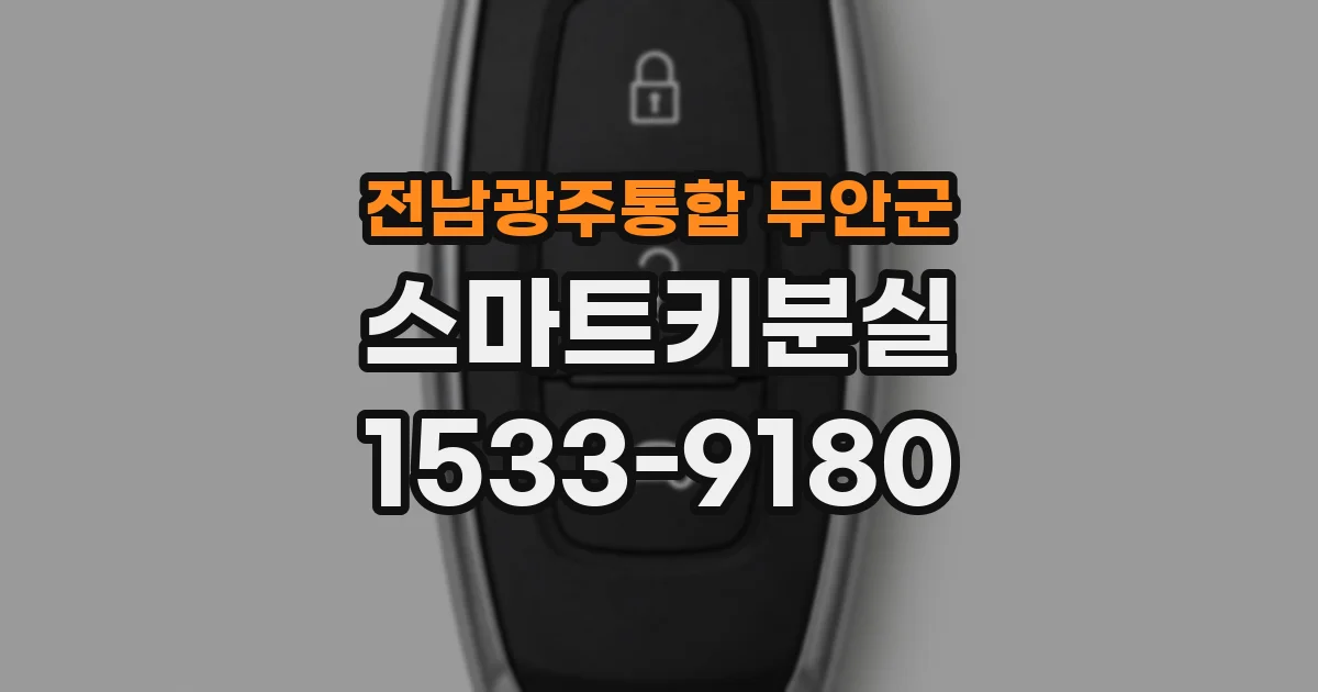 전남광주통합 무안군 스마트키분실