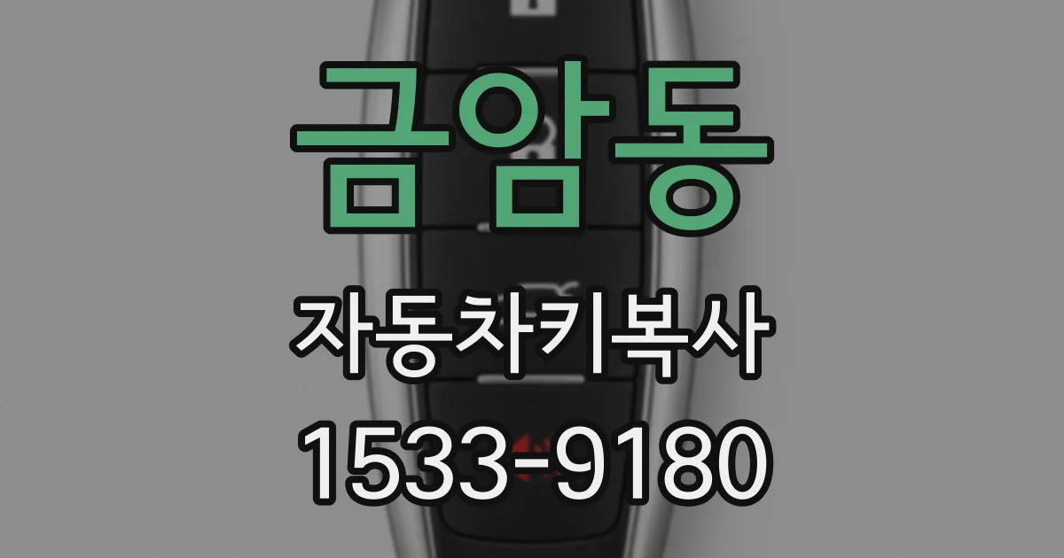 금암동 자동차키복사