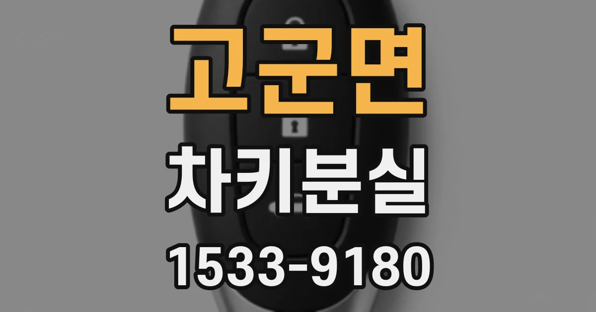 고군면 차키분실