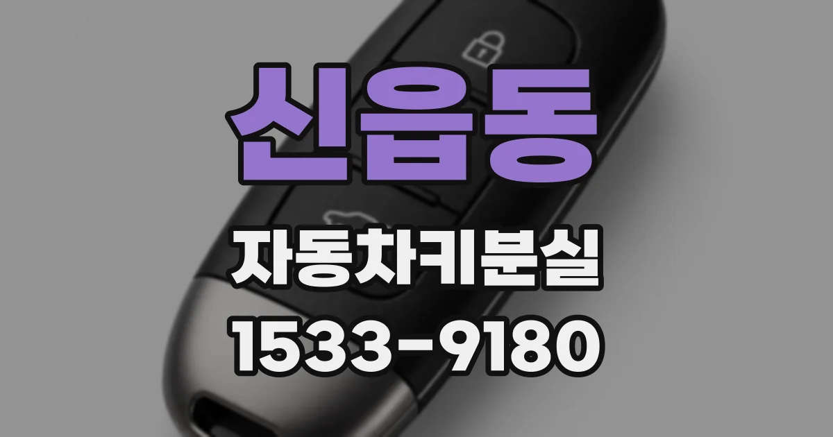 신읍동 자동차키분실