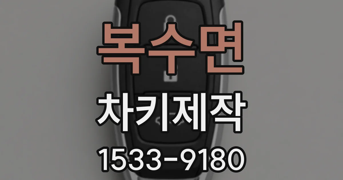 복수면 차키제작