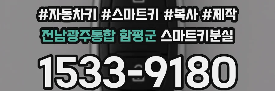 전남광주통합 함평군 스마트키분실