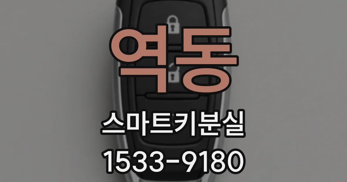 역동 스마트키분실