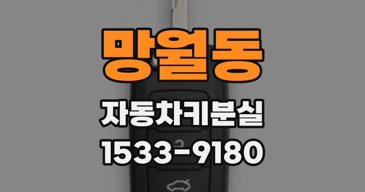 망월동 자동차키분실