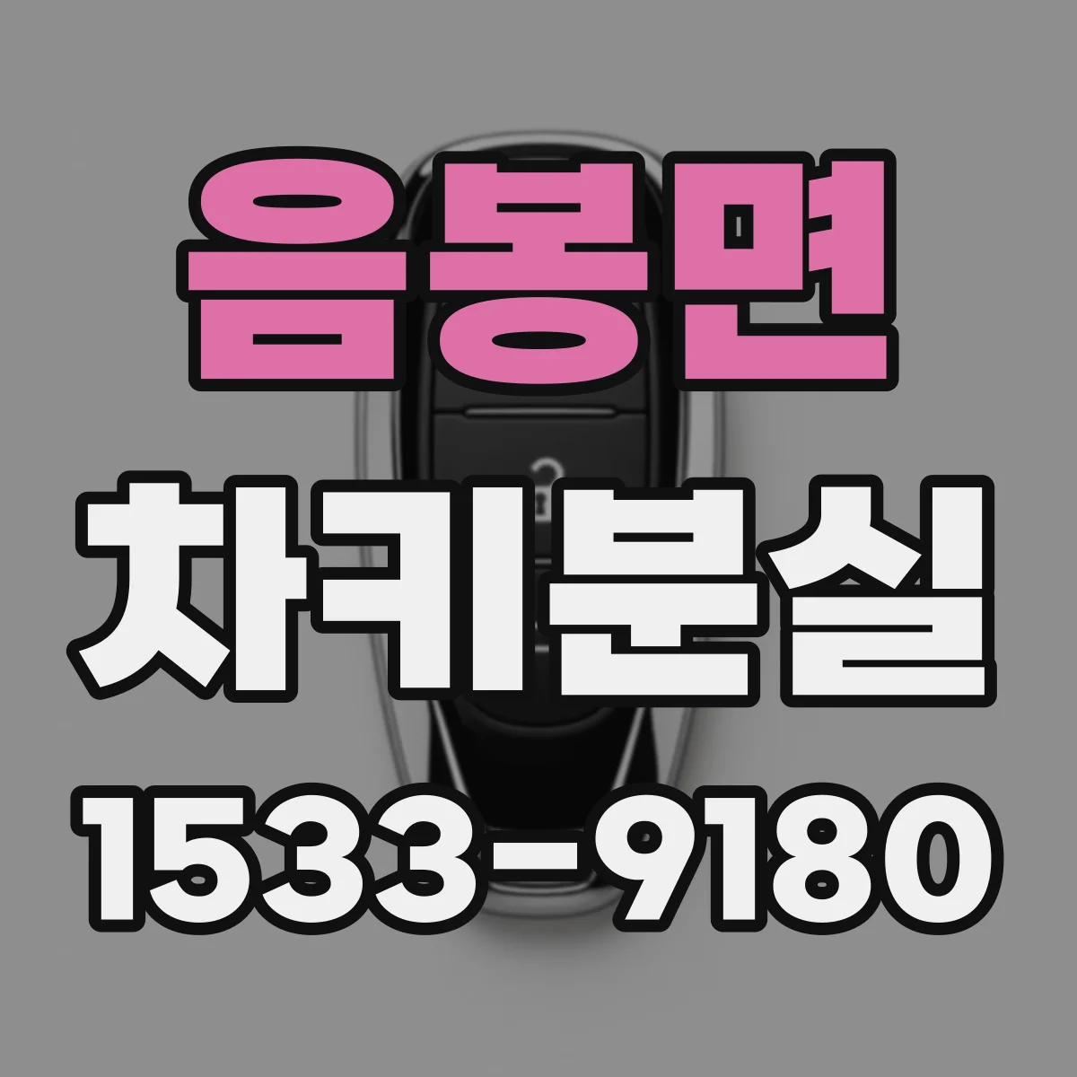 음봉면 차키분실