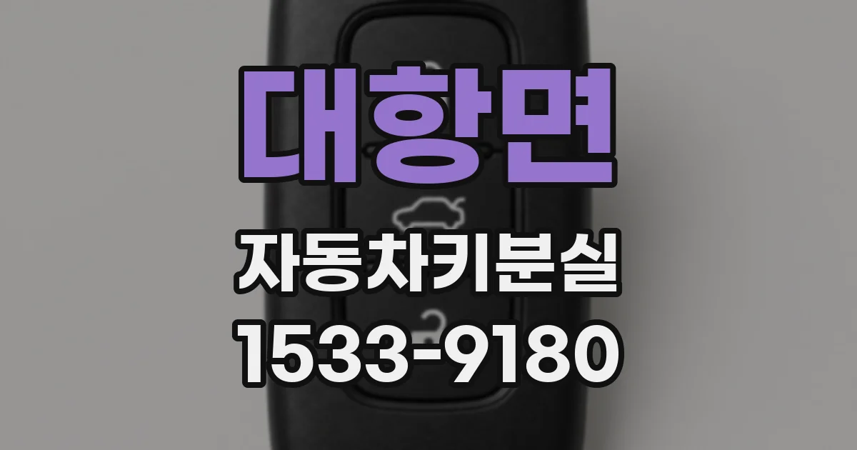 대항면 자동차키분실