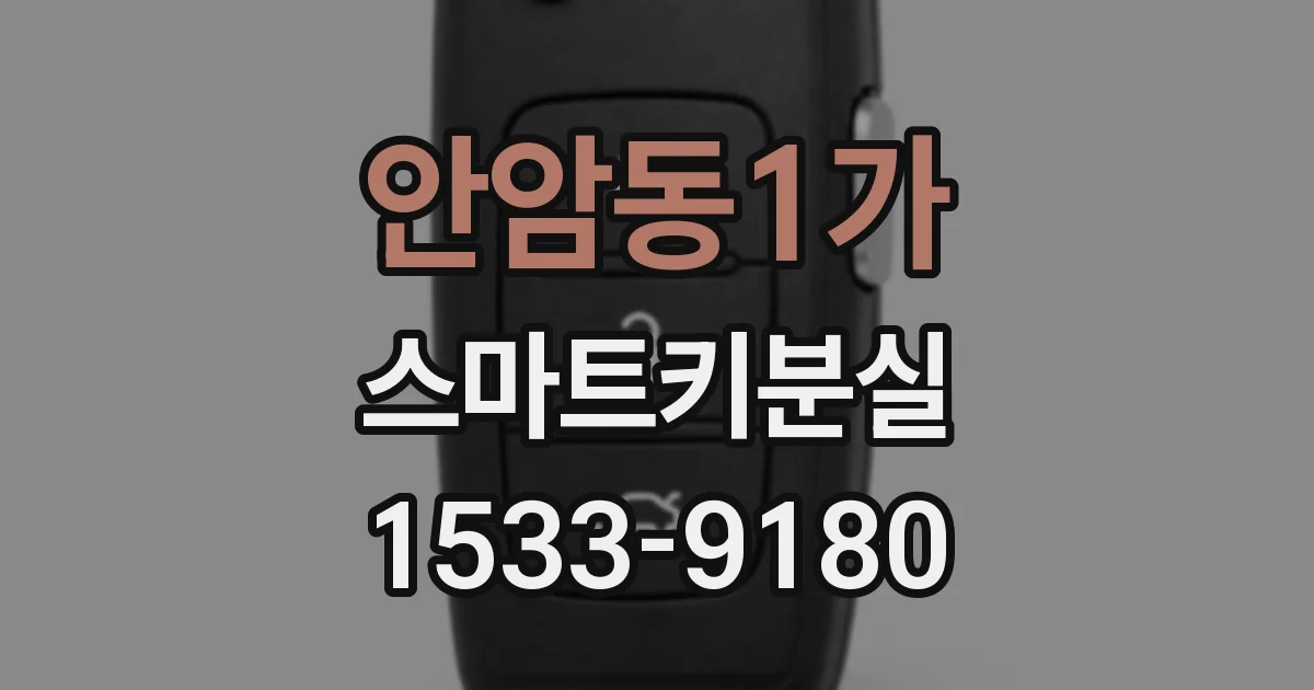 안암동1가 스마트키분실