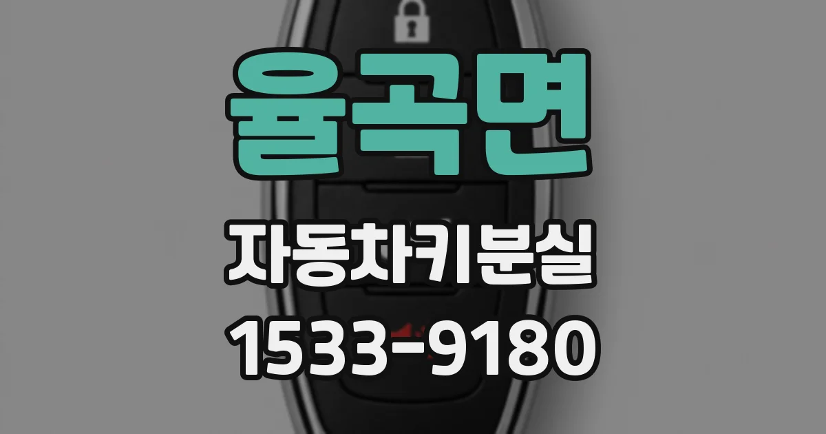 율곡면 자동차키분실