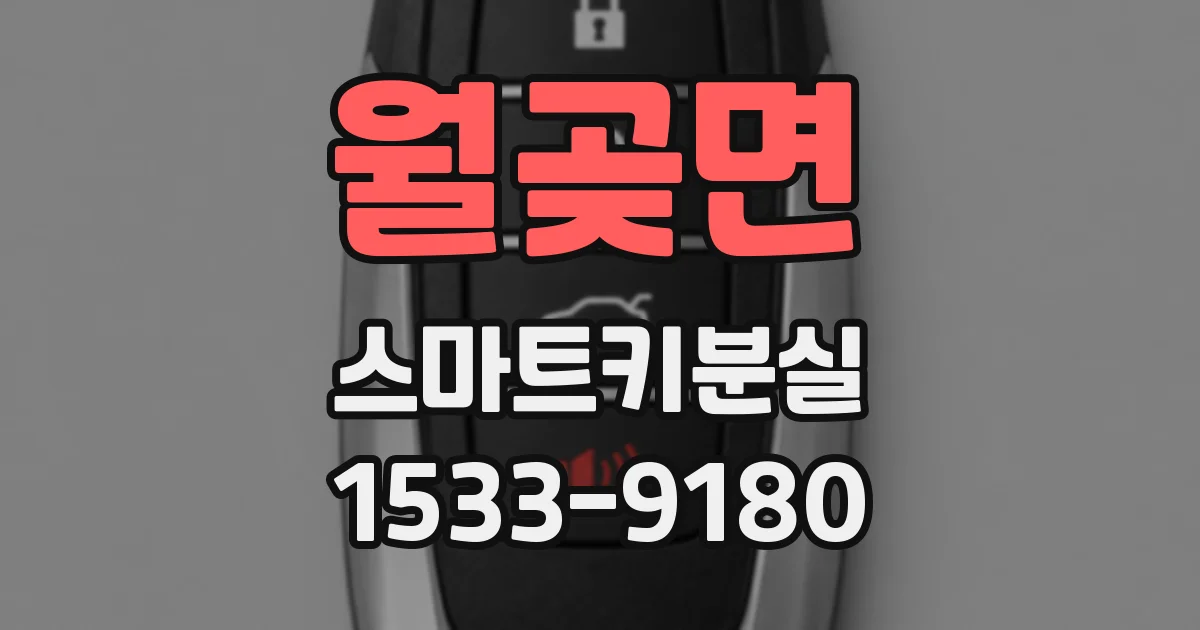 월곶면 스마트키분실