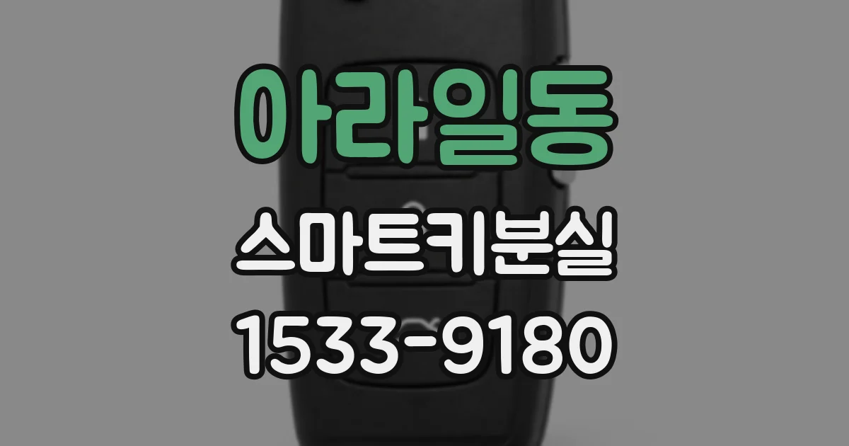 아라일동 스마트키분실