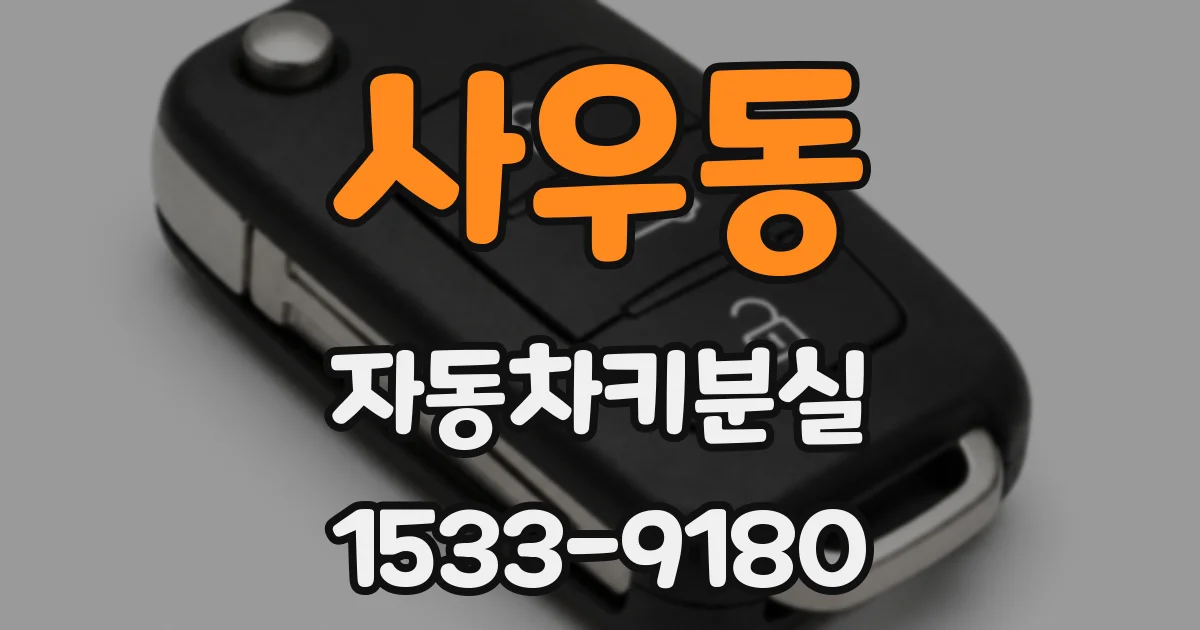 사우동 자동차키분실
