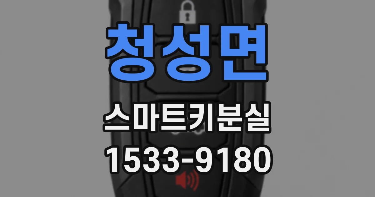 청성면 스마트키분실