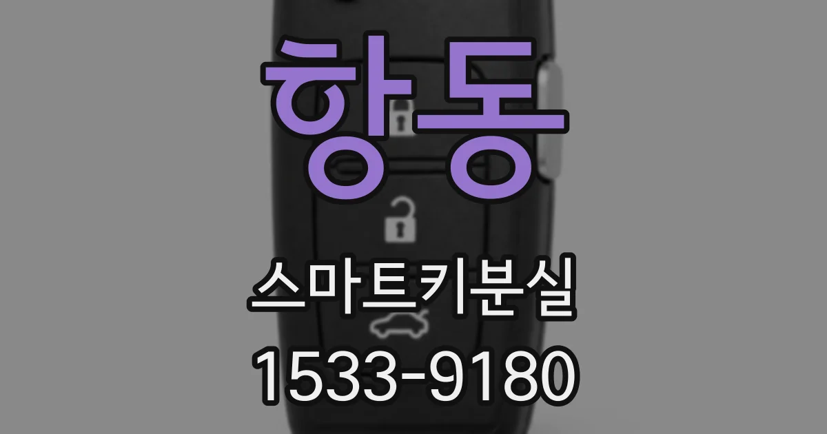 항동 스마트키분실