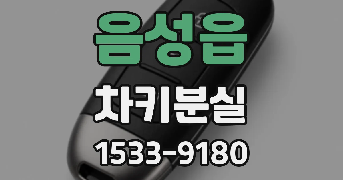 음성읍 차키분실
