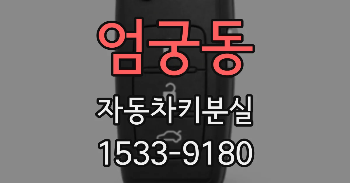 엄궁동 자동차키분실