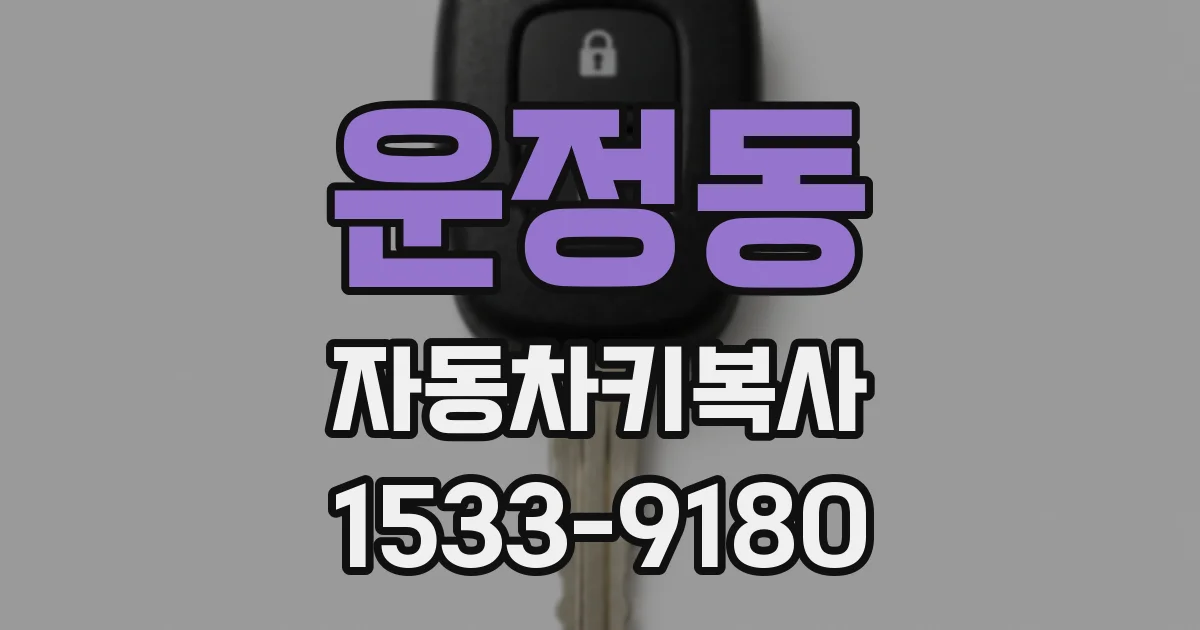 운정동 자동차키복사
