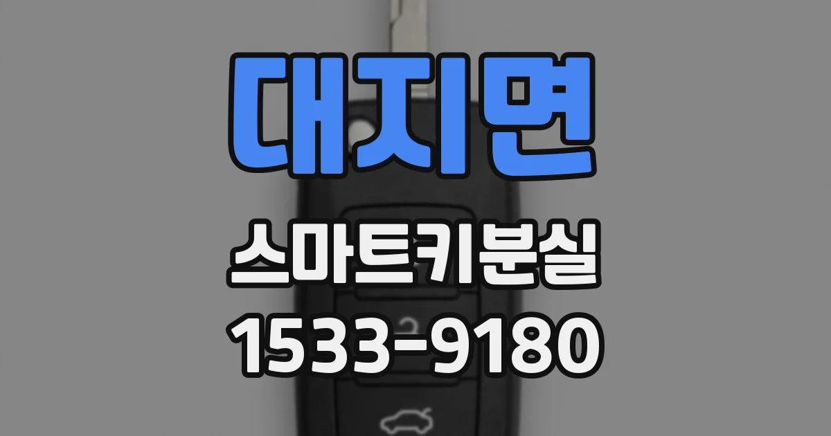 대지면 스마트키분실
