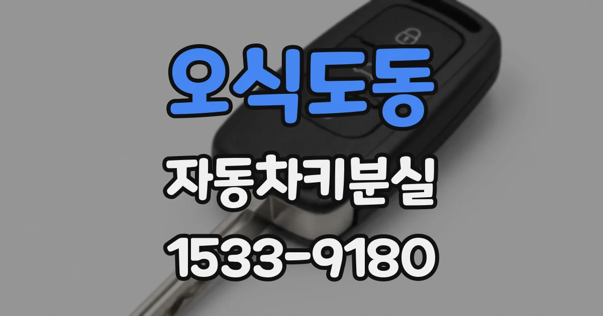 오식도동 자동차키분실
