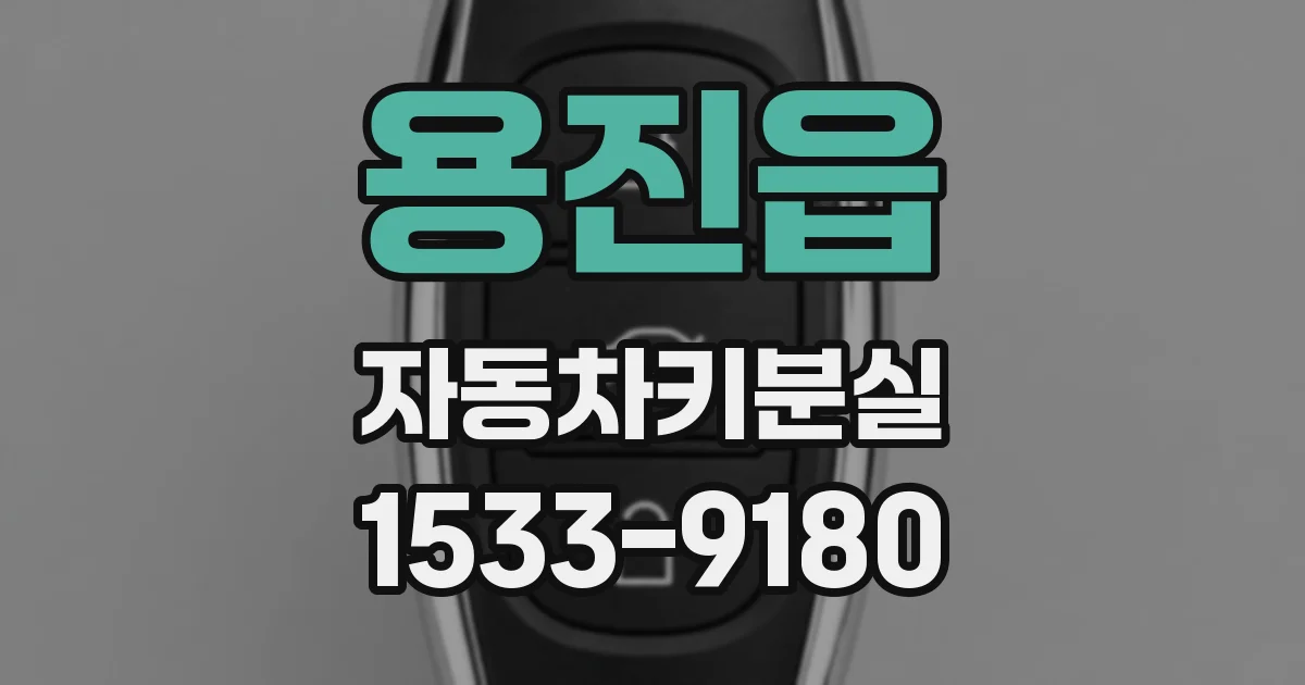 용진읍 자동차키분실